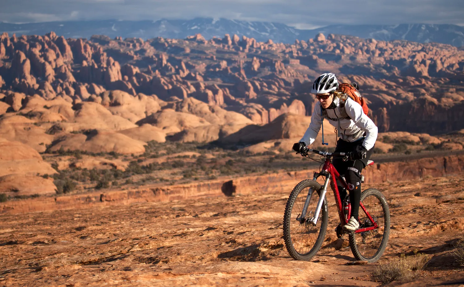 Lenz Sport Mountain Bikes:: Leviathan