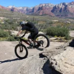 lenz behemoth MTB 29er