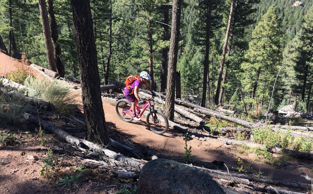 Lenz sesh women's mountain bike