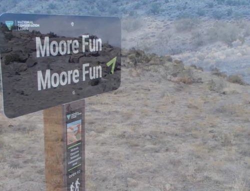 Moore Fun is being changed for the worse!