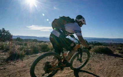 lenz sport mountain bike