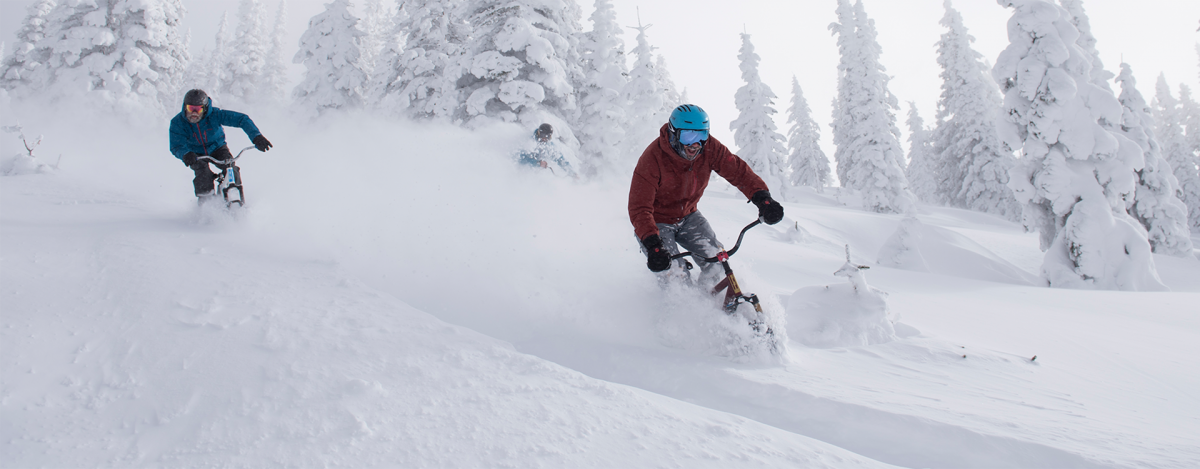 Lenz Sport Recon SkiBike - All mountain Type 2 Ski Bike Lenz Sport Recon SkiBike - All mountain Type 2 Ski Bike