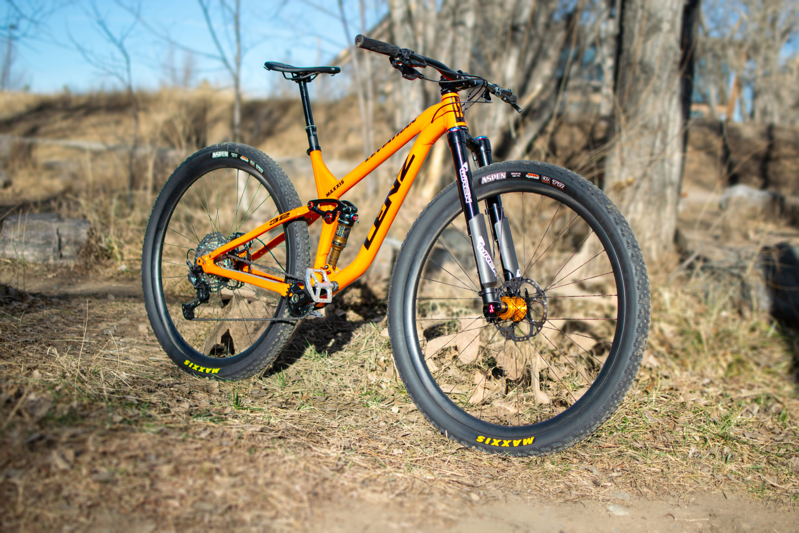 Leviathan World Cup 32er Frame - Image 7